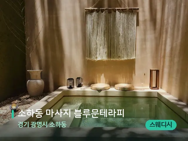 경기 광명시 소하동 소하동 마사지 블루문테라피 — 스파 관리실 내부